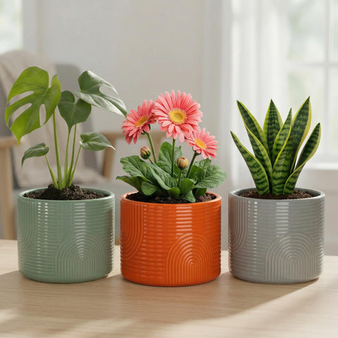 ÈMJÉ LUXE ceramic planter on a sunlit windowsill.