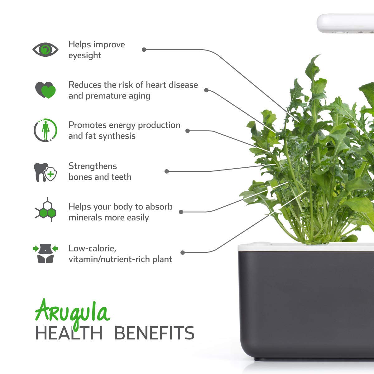 EMSA arugula pods backed by a germination guarantee for peace of mind
