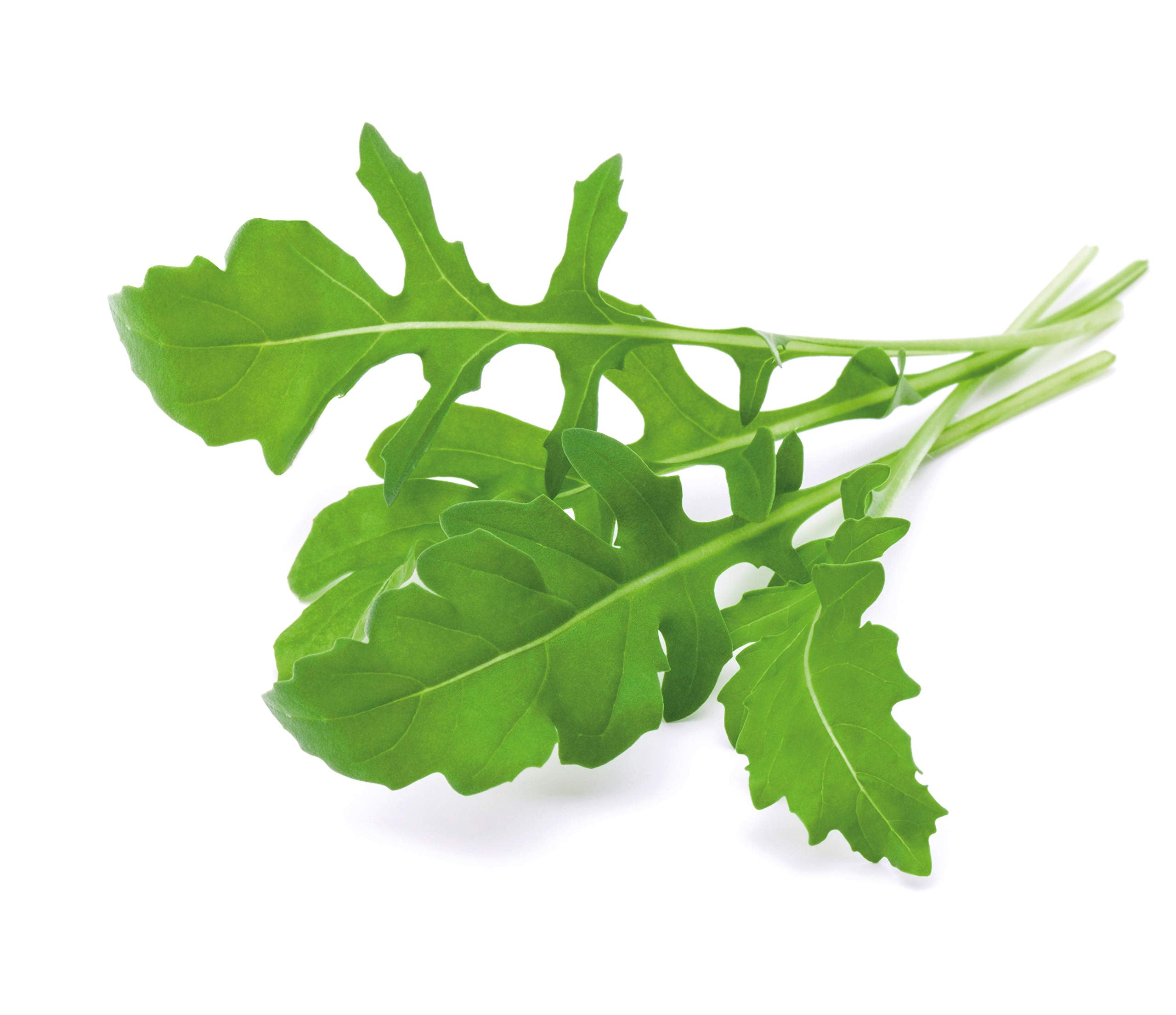 EMSA arugula harvest-ready pods offer peppery leaves for fresh salads