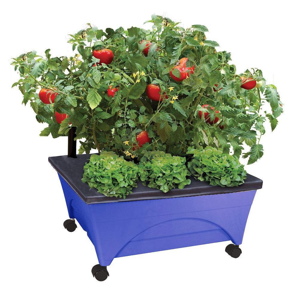 Emsco City Picker raised bed on casters for easy mobility and sun tracking
