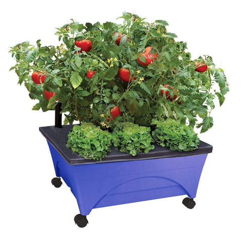 Emsco City Picker raised bed on casters for easy mobility and sun tracking