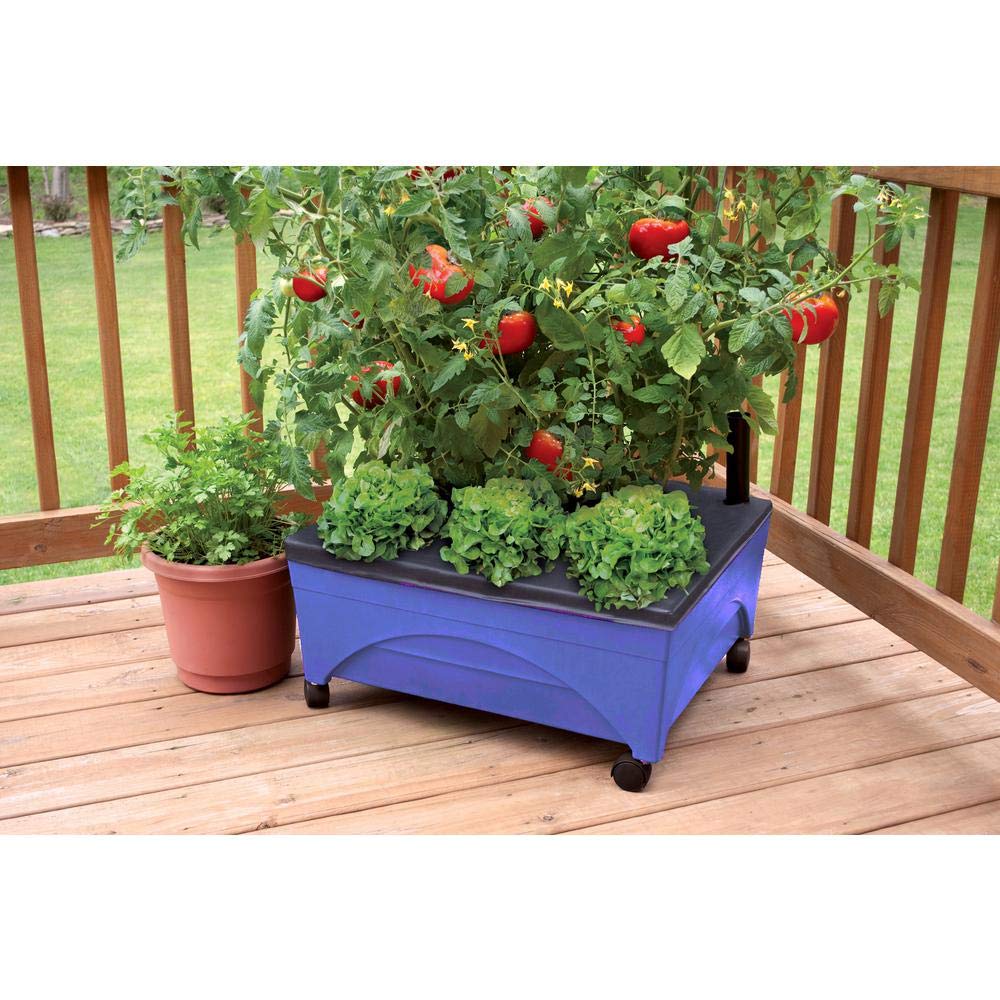 Emsco City Picker self-watering reservoir supports healthier plants