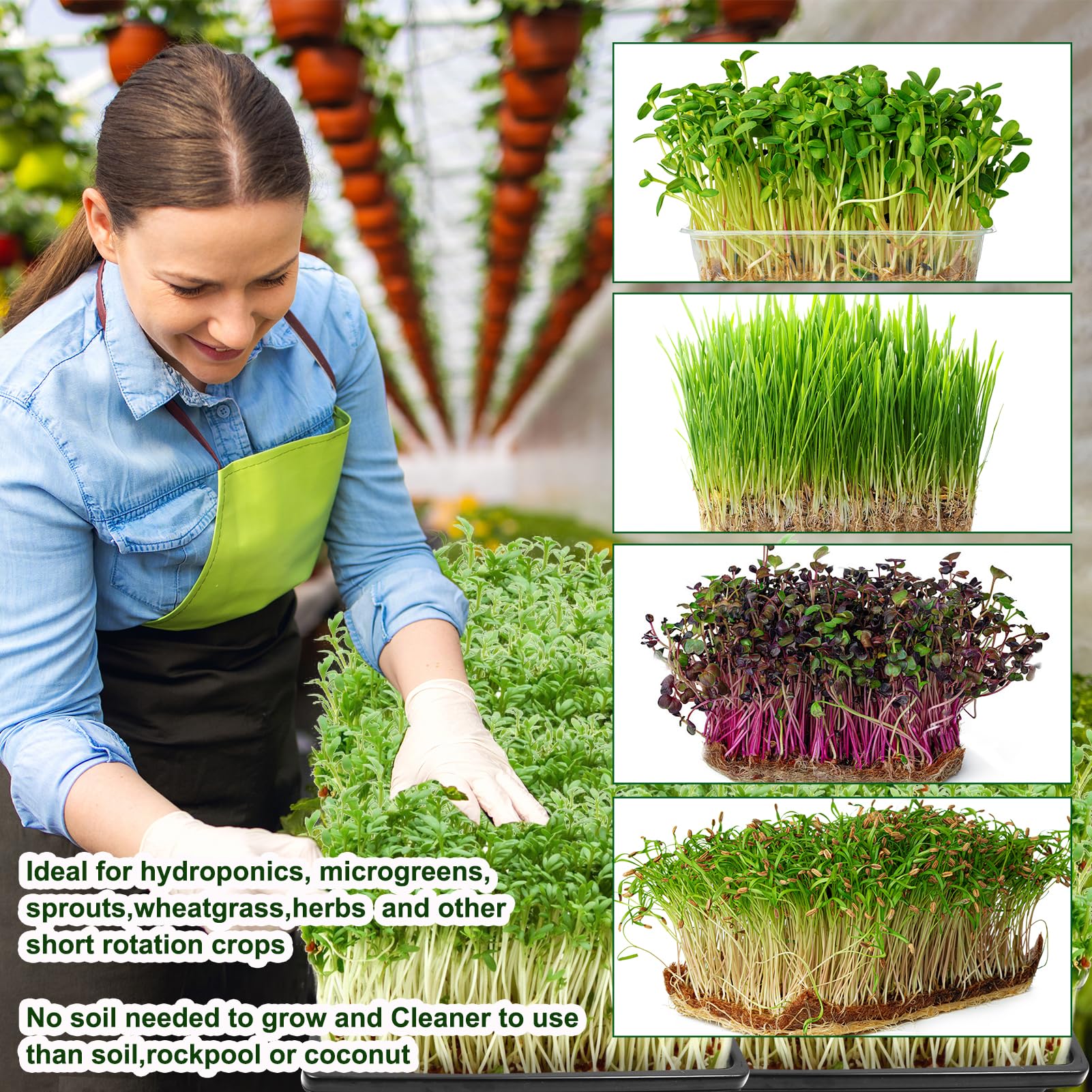 Emsiok indoor organic gardening kit suitable for various microgreens.
