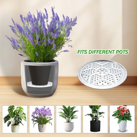 Emsiok indoor outdoor planter accessory supports healthy plant growth.