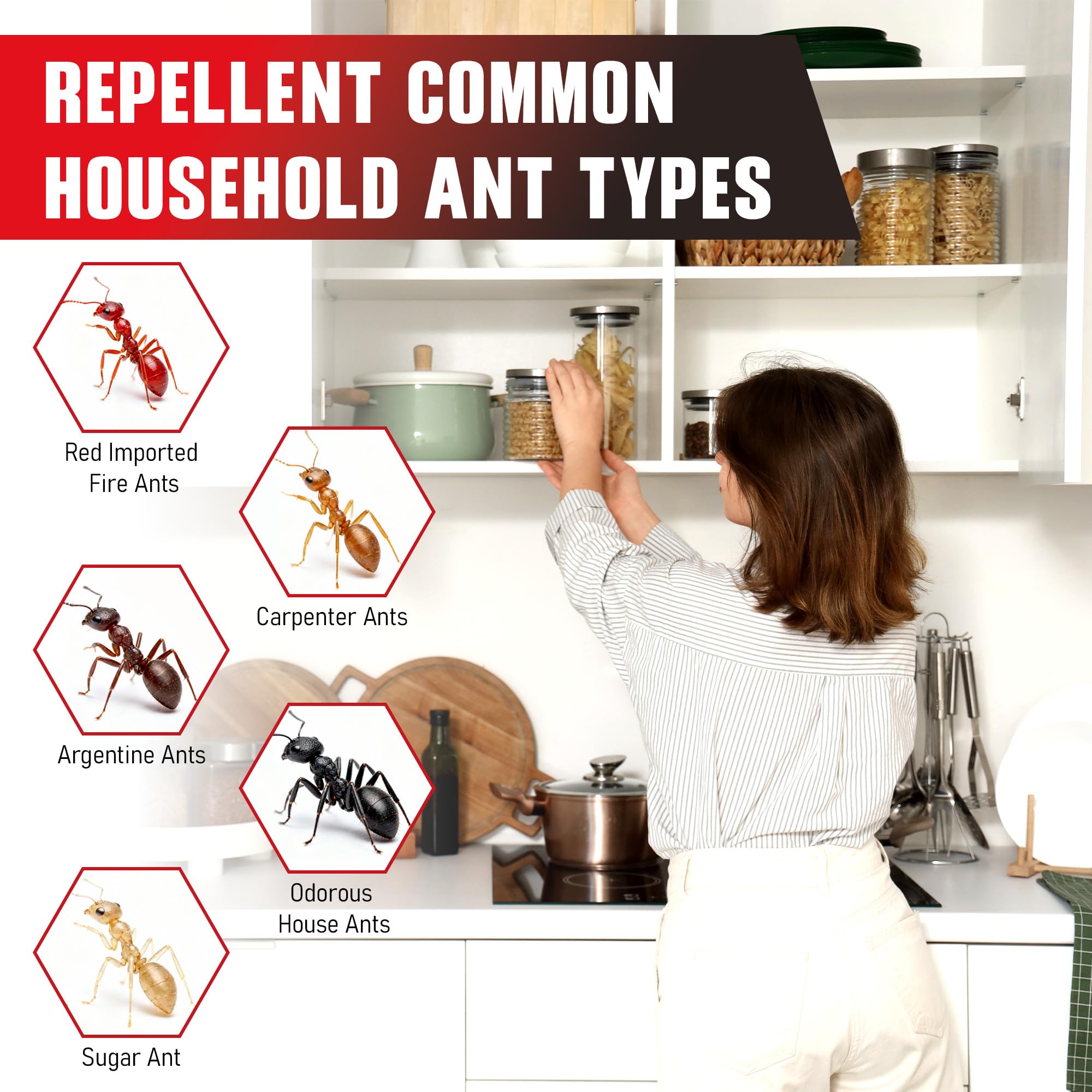 Enbabbor ant bait attracts workers to the nest and reduces trails.