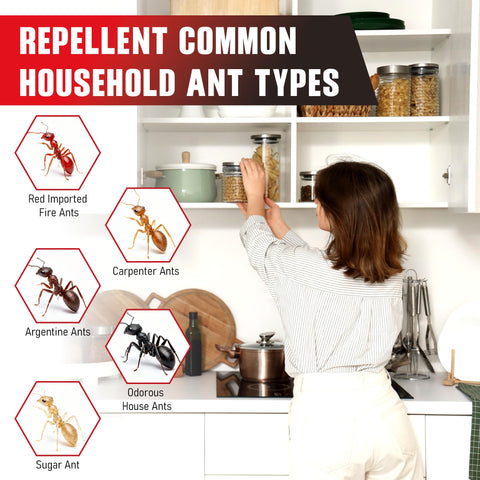 Enbabbor ant bait attracts workers to the nest and reduces trails.