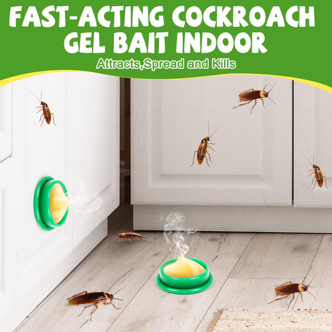 Enbabbor cockroach gel bait stations close-up, showing active bait discs for interior rooms