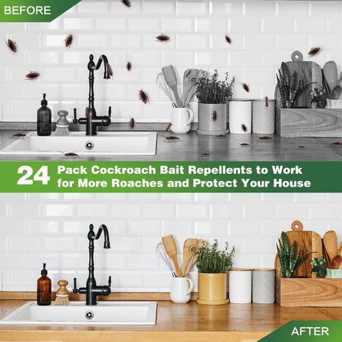 Enbabbor kitchen roach control station in active areas.