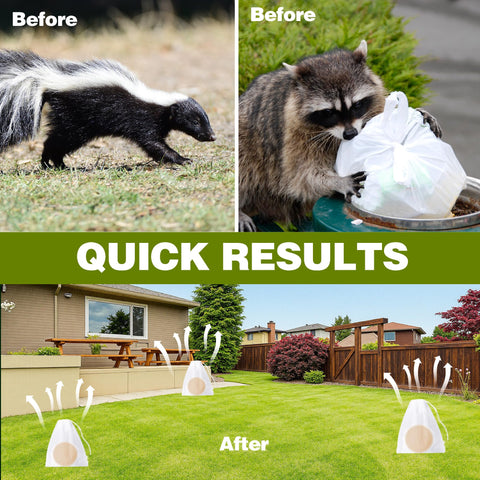 Outdoor garden setup showing Enbabbor peppermint scent deterring skunks.