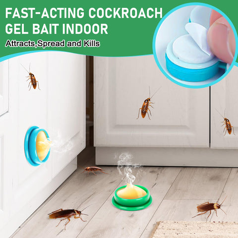 Enbabbor roach gel bait dispense close-up showing gel application