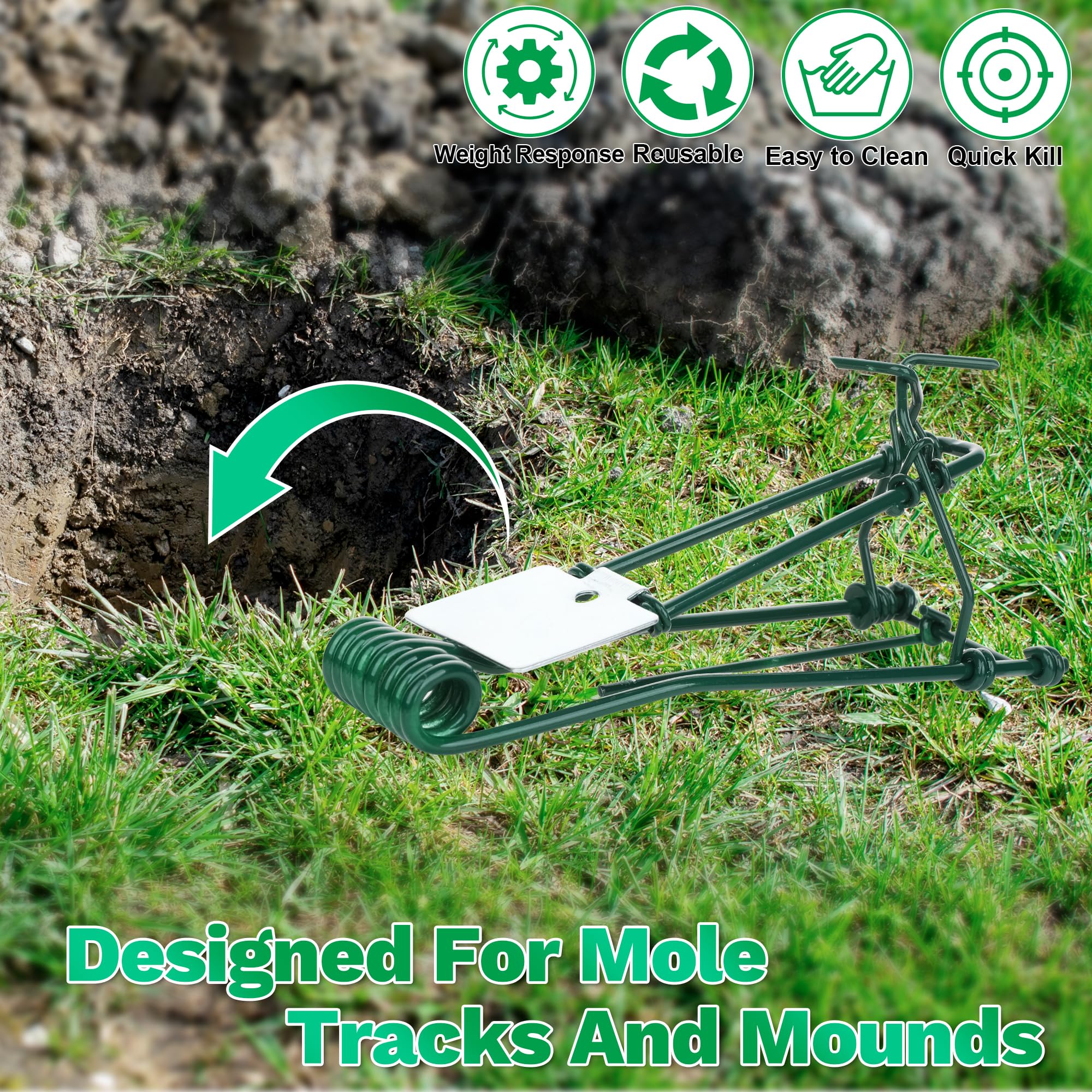 Enbabbor trap installed at a gopher mound to disrupt tunnel activity.