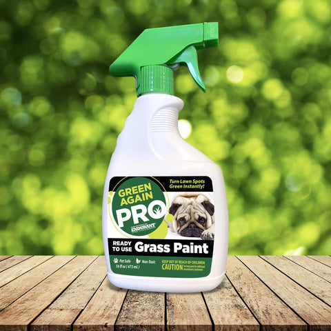 Endurant Green Again Pro lawn color patch blends with existing turf