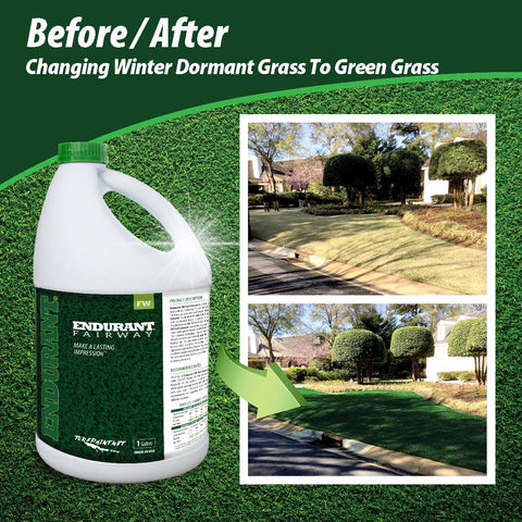 Endurant Green Lawn Dye concentrated formula shows vibrant color on grass.