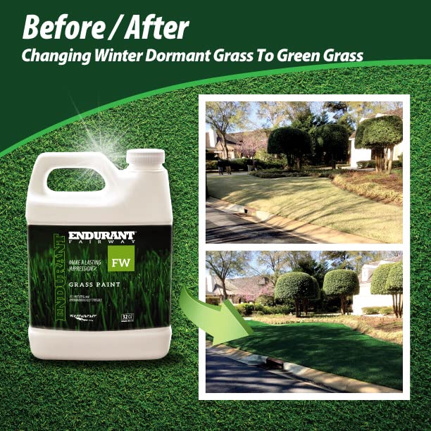 Endurant Turf Colorants sprayer application provides even coverage on lawns