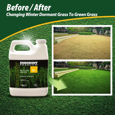 Endurant Turf Colorants dilution guide mix demonstrates versatile concentrate for large lawns.