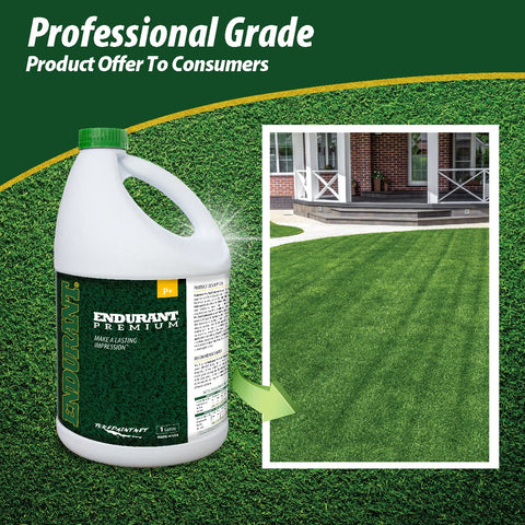 Endurant Turf Colorants dry patch repair for pet-friendly lawns.