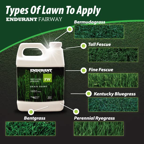 Endurant patch repair on dry, patchy lawn areas yields natural-looking green