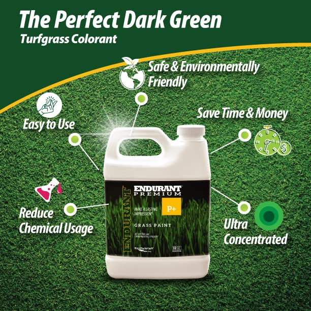 Endurant Turf Colorants lawn before after highlights patch repair with lush green result.