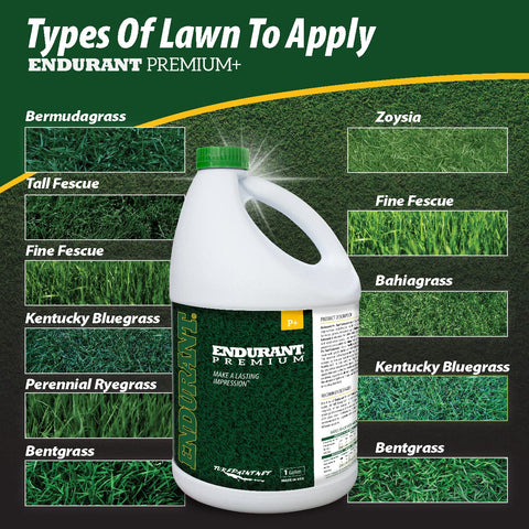 Endurant Turf Colorants lawn before after demonstrates vivid green improvement.