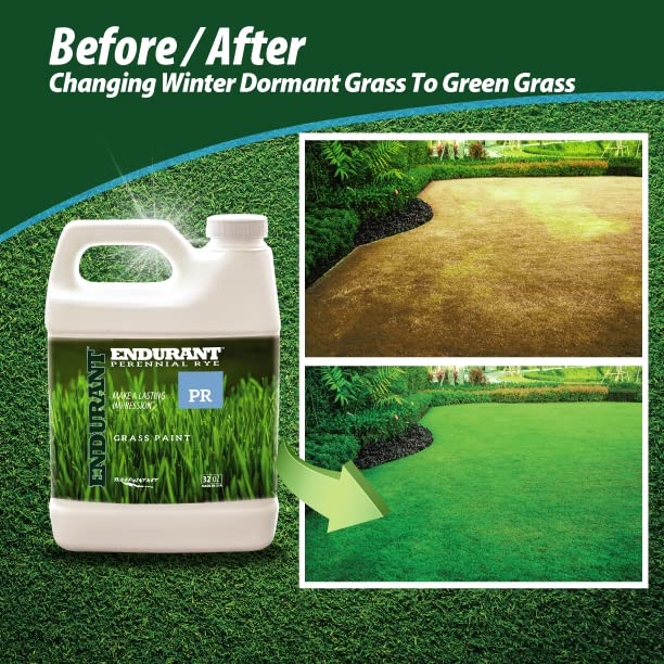 Endurant turf colorants patch repair demonstrates urine-damaged lawn restoration.