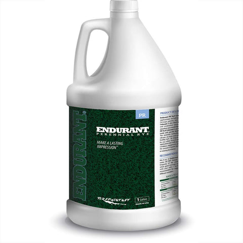 Endurant turf colorants perennial-rye-spray-green-grass-paint on lawns provides quick lush color.