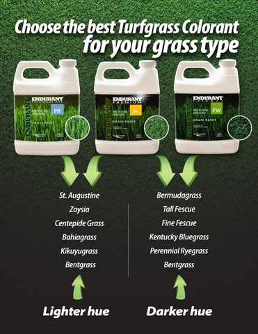 Endurant Turf Colorants pet-friendly green dye protects pets while reviving color.