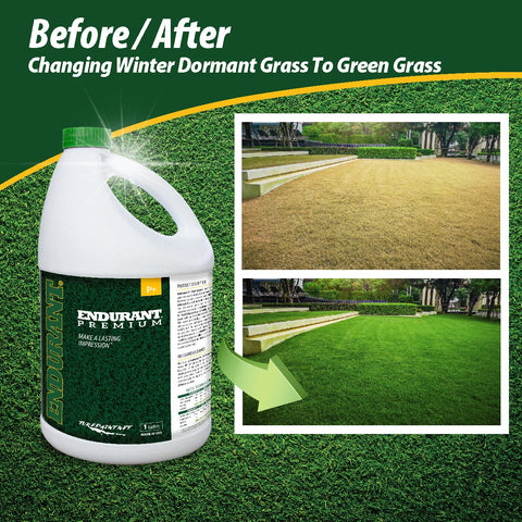 Endurant Turf Colorants spray action showing even application across lawn.