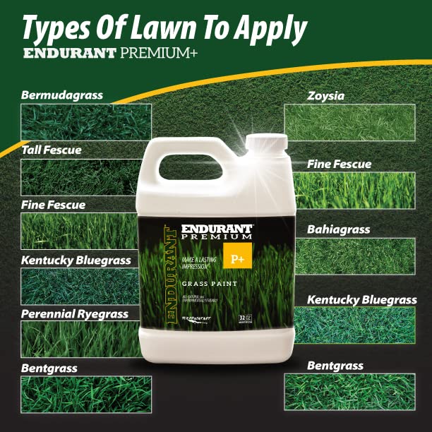 Endurant Turf Colorants spray application shows easy coverage with a garden sprayer.