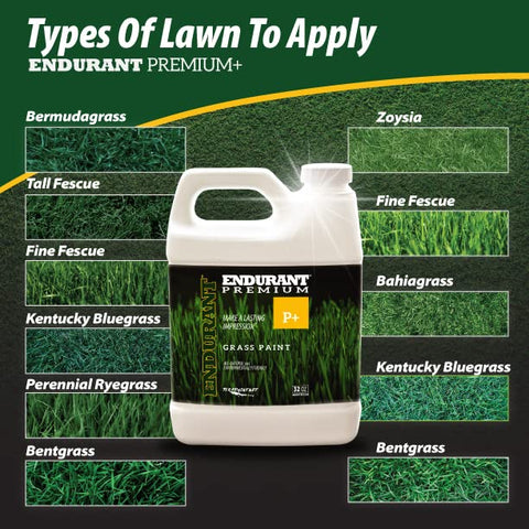 Endurant Turf Colorants spray application shows easy coverage with a garden sprayer.