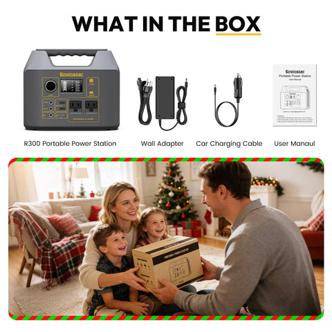 EnginStar power station comes with charger, cables, and manual.