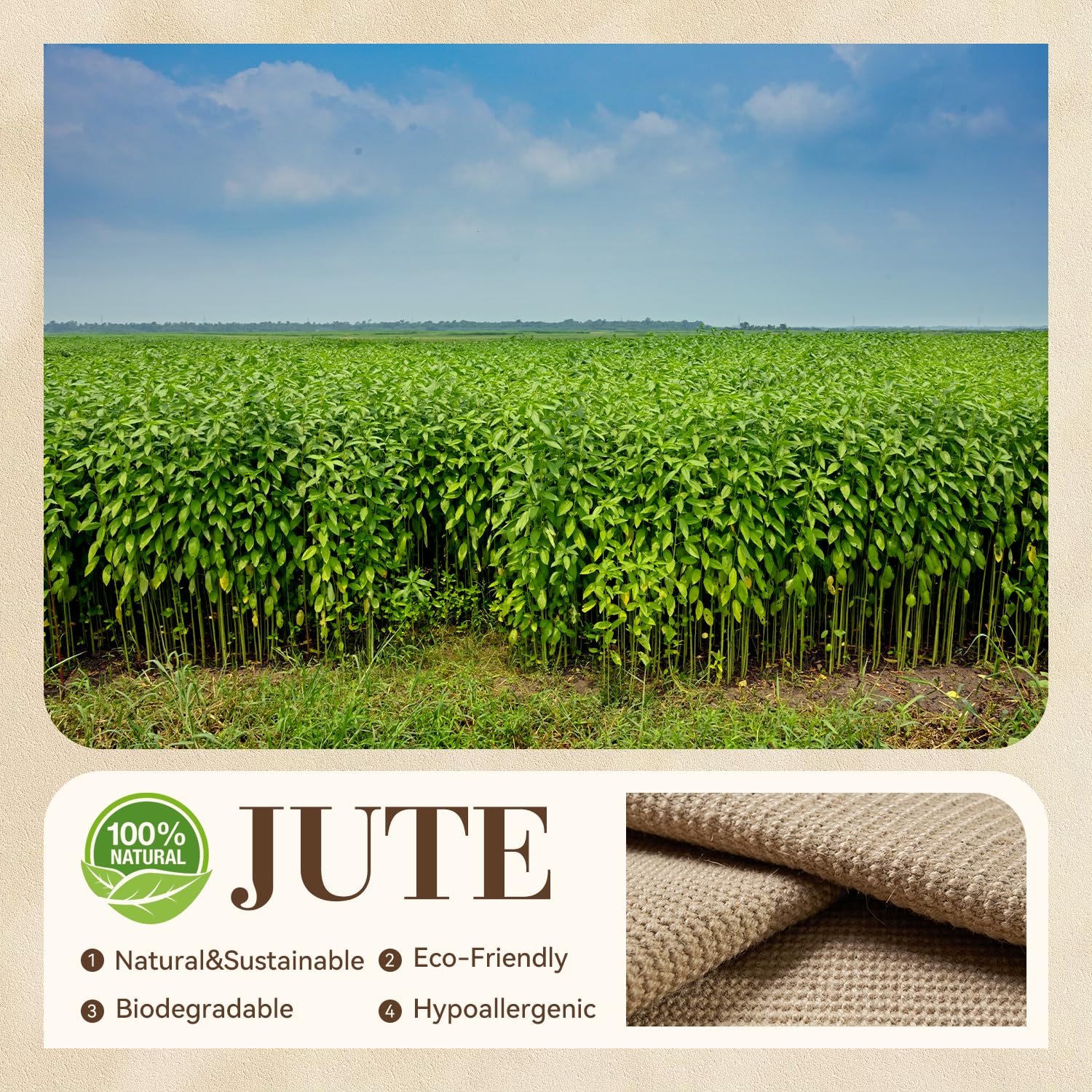 Engiw jute mat entryway view highlighting boho style and welcoming size.