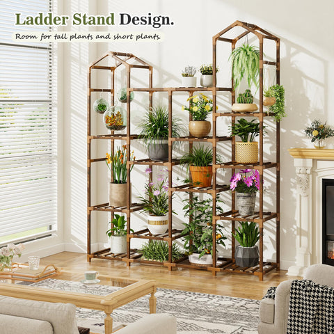 EnHomee corner-space display saves floor area while highlighting your plants.