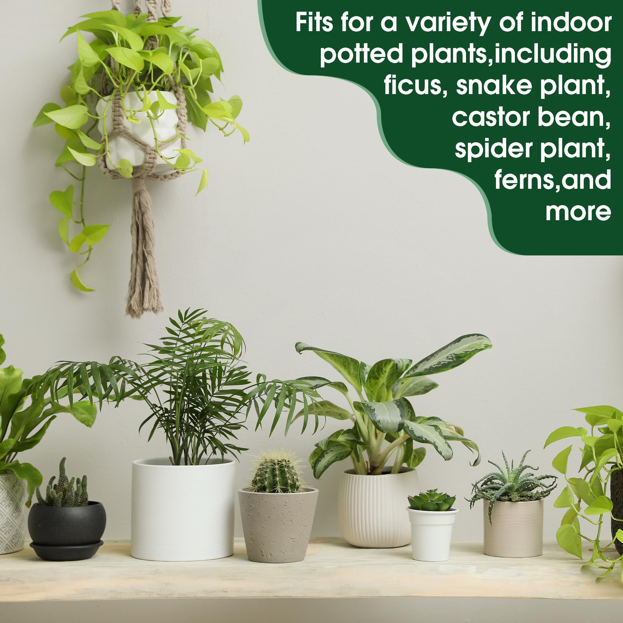 Enhon Fertilizer Spikes in green color suited for indoor plant care.