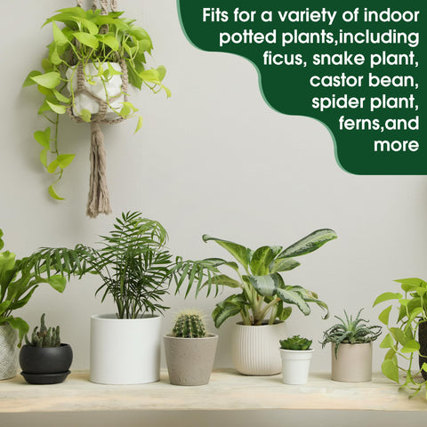 Enhon Fertilizer Spikes in green color suited for indoor plant care.