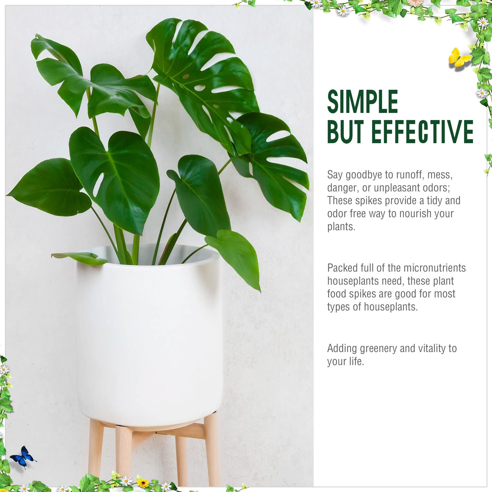 Enhon Fertilizer Spikes used with ficus and pothos for growth.