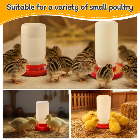 Enhon space-saving design ideal for compact brooders and starter setups.