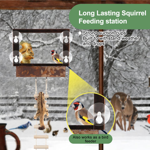 Easy to assemble and refill, simplifying outdoor squirrel watching.