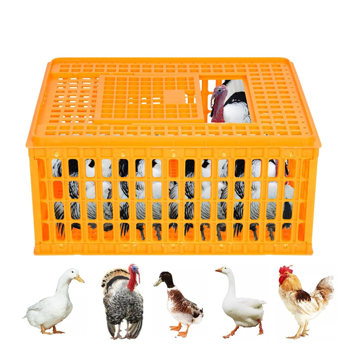 Enjoy Plush Poultry Carrier Crate showing capacity for 10–13 birds during safe transport