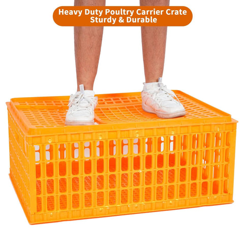 Enjoy Plush Slide-Top Door enables easy loading and unloading