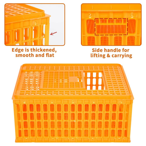 Enjoy Plush Ventilated Bottom Mesh promotes airflow and comfort