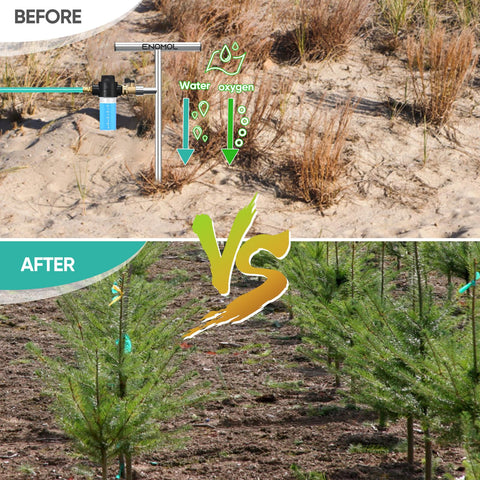 enomol tool helps shrubs and fruit trees with efficient, deeper rooting.