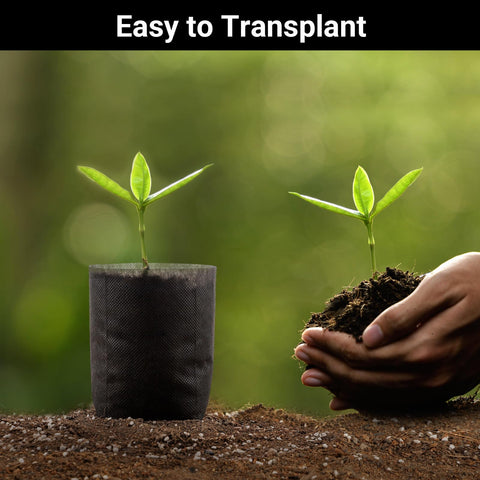 ENPOINT breathable grow bags enable easy transplanting and even water movement