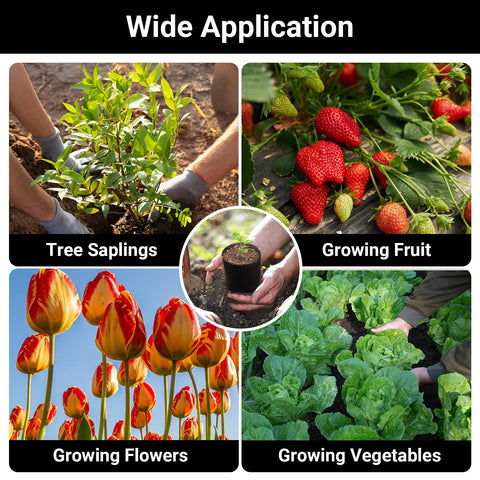 ENPOINT clone rooting bags support cuttings and seedling development