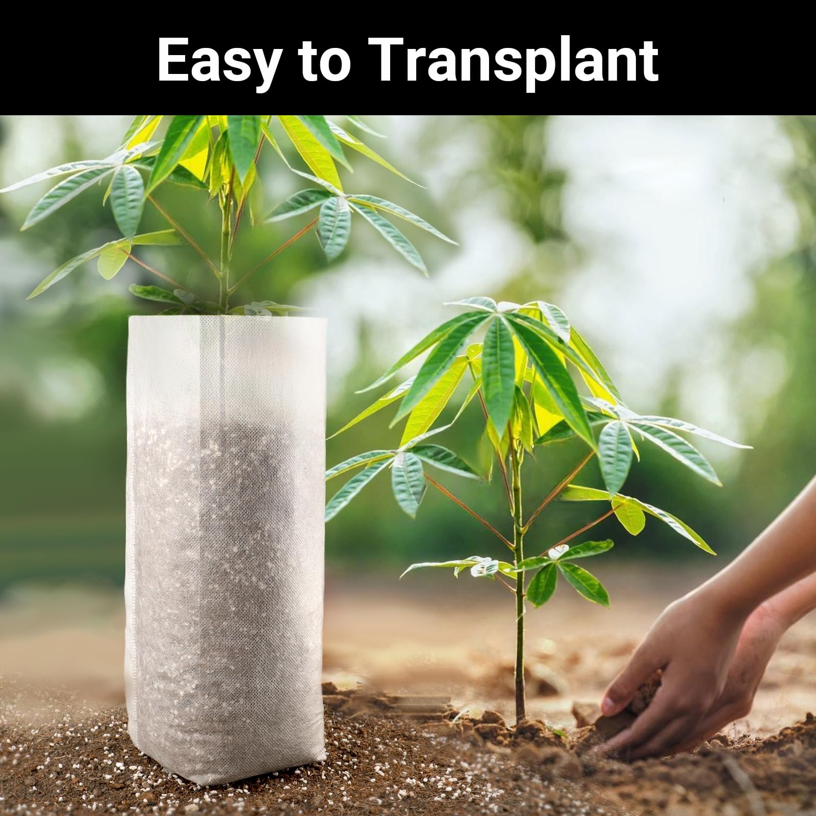 ENPOINT seed-starts bags support easy cloning and rooting in trays.