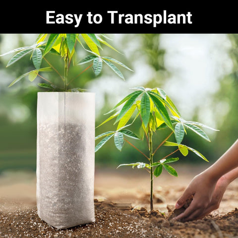 ENPOINT seed-starts bags support easy cloning and rooting in trays.