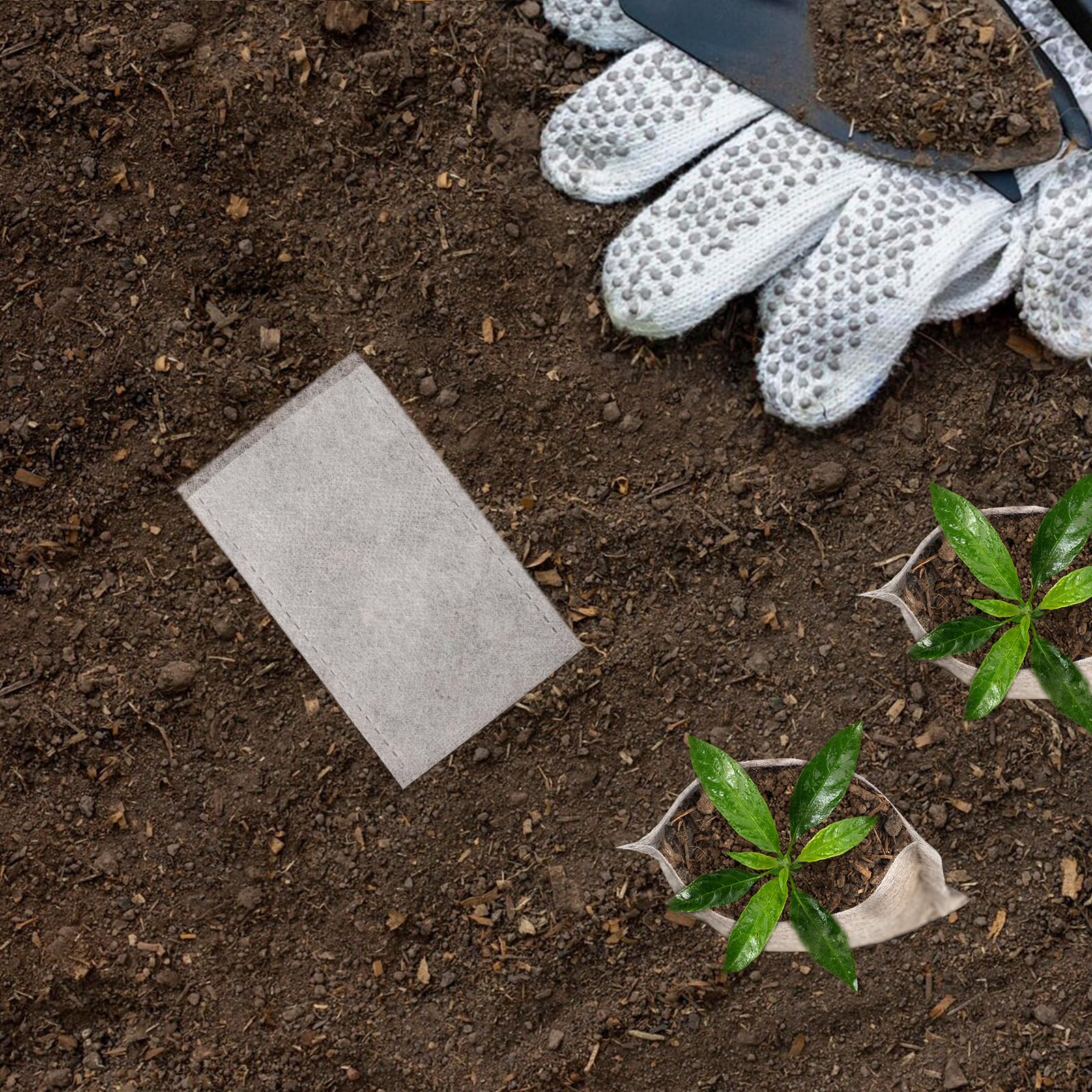 ENPOINT transplant-ready bags simplify moving seedlings to larger pots or ground