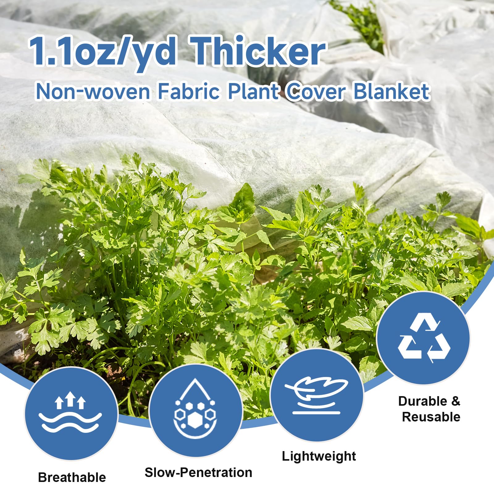 Enrichovo floating row cover protects sprouts during spring winds and rain.