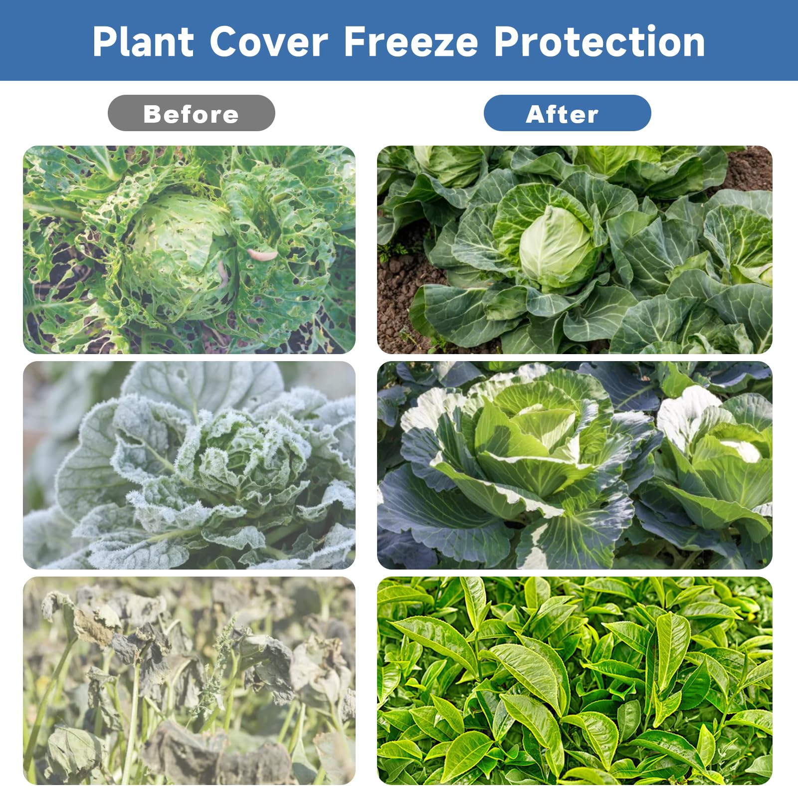 Enrichovo plant cover is easy to set up over garden beds.