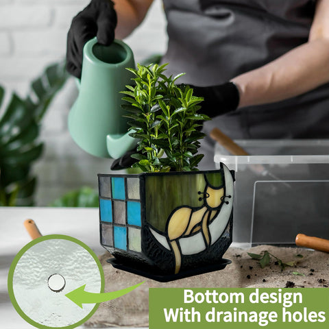 Entlityful succulent mini plant planter fits small greens and cactus accents.