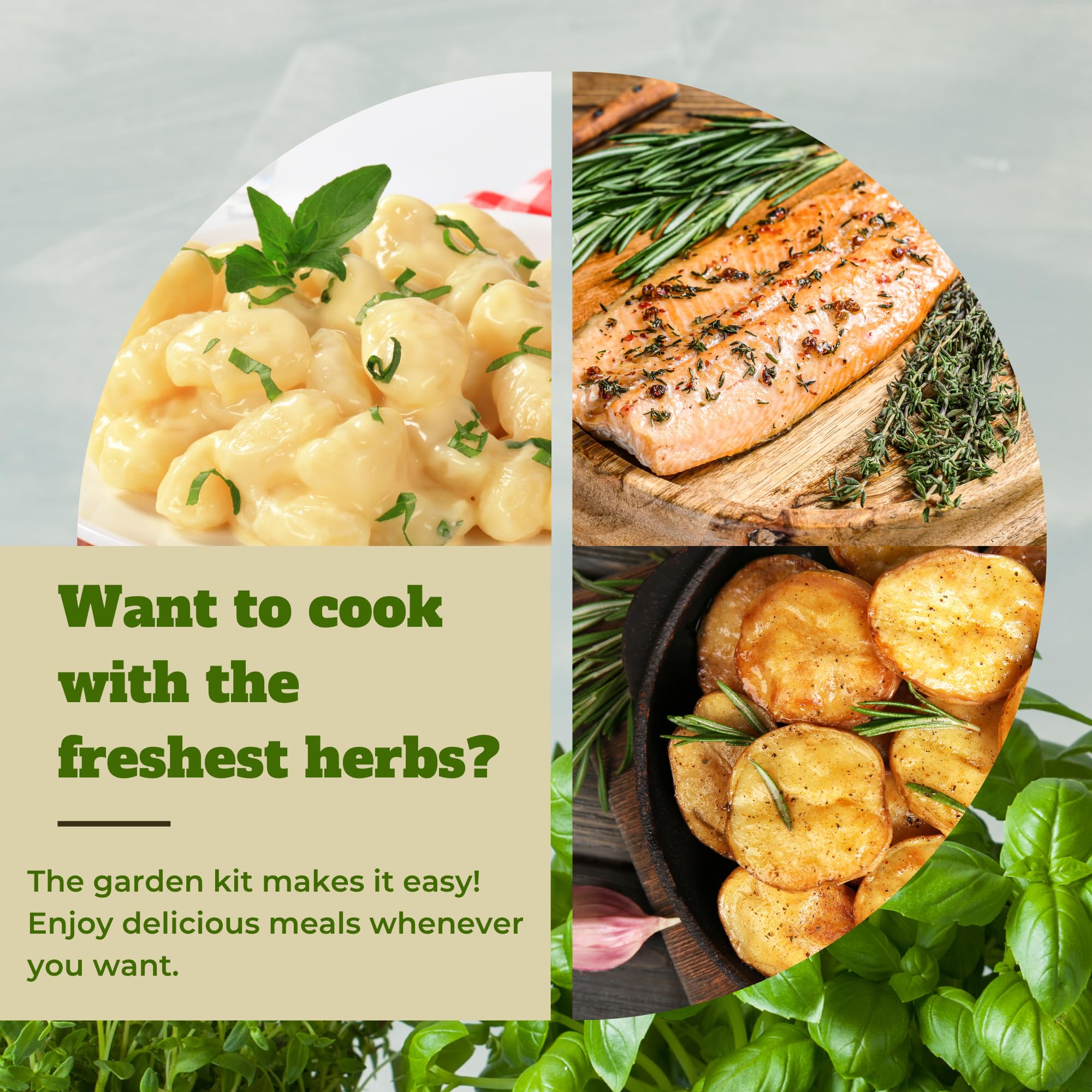 Environet supports cultivating basil, cilantro, and other essentials year-round.